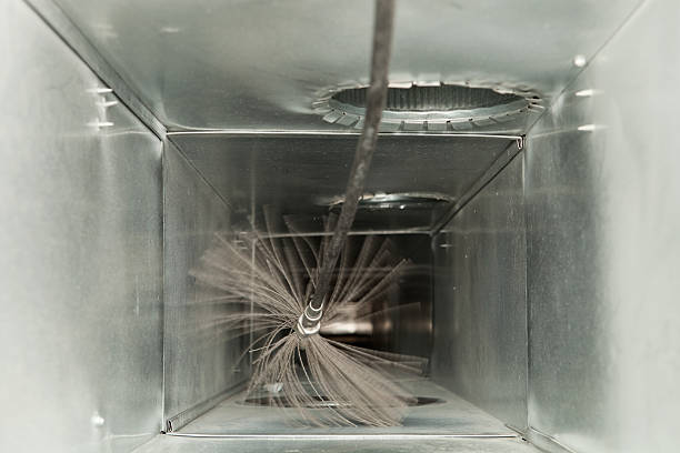 Best Air Duct Mold Removal  in Huntington, VA