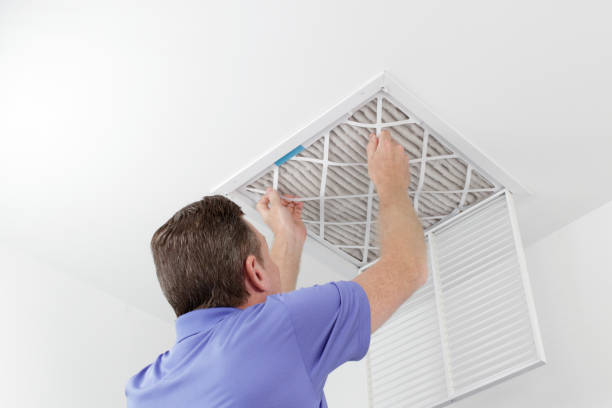 Air Duct Mold Removal in Huntington, VA
